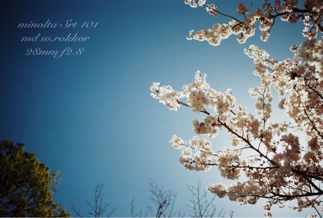 ★minolta srt101＊md 28mm f2.8★完動品＊美品＊初期保証