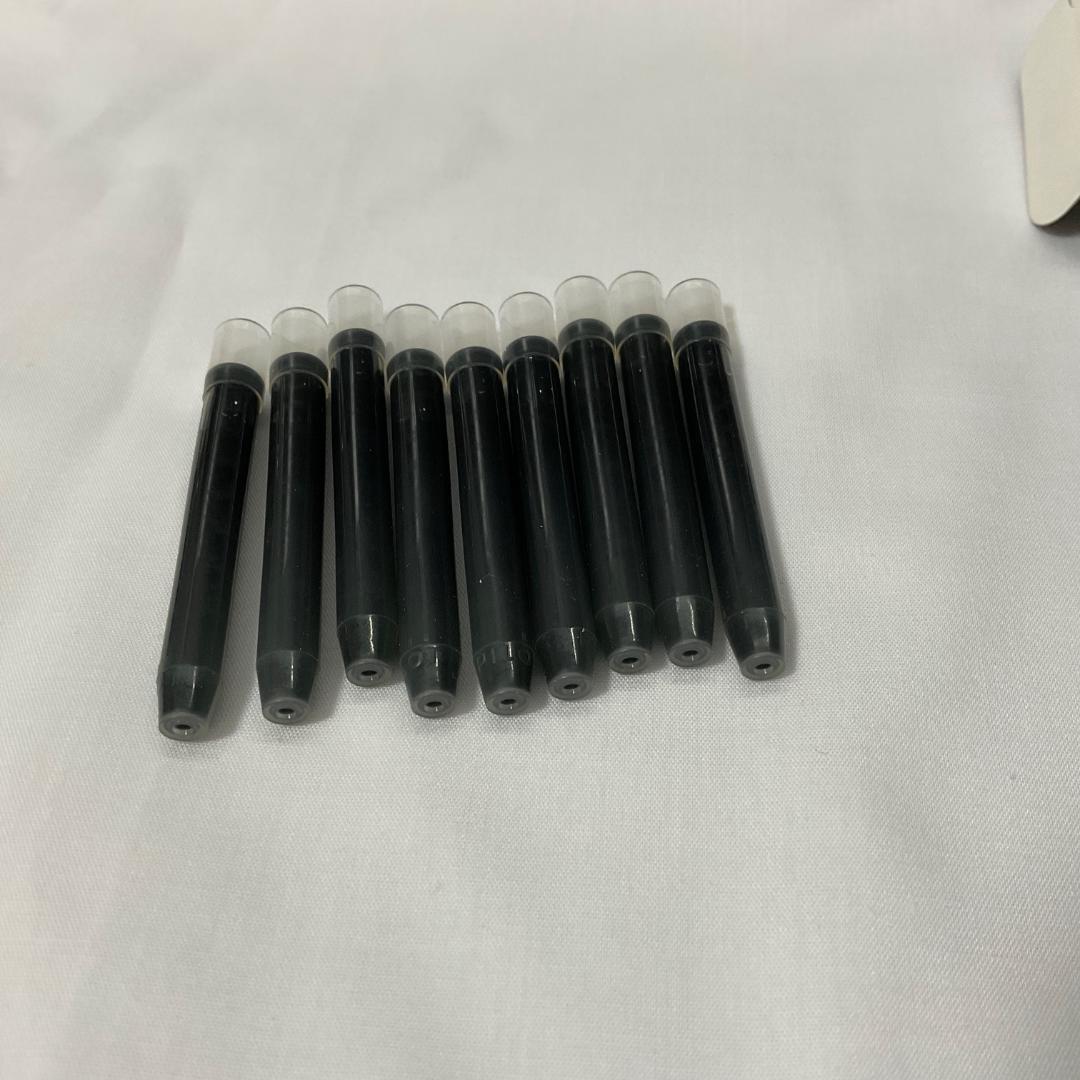 【美品】PILOT パイロット カスタム74　万年筆　FKKN-12SR