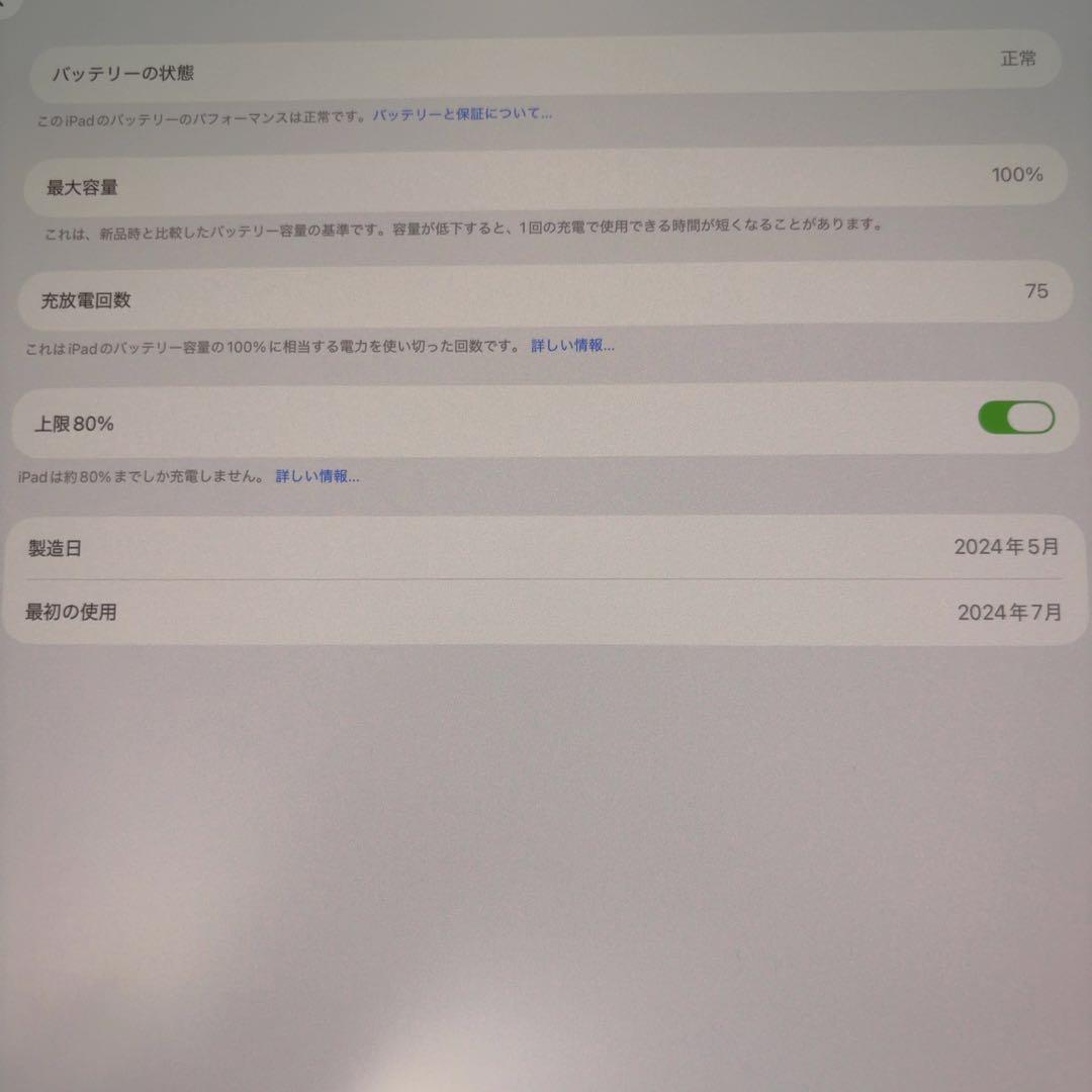 iPad Pro (M4) 13インチ