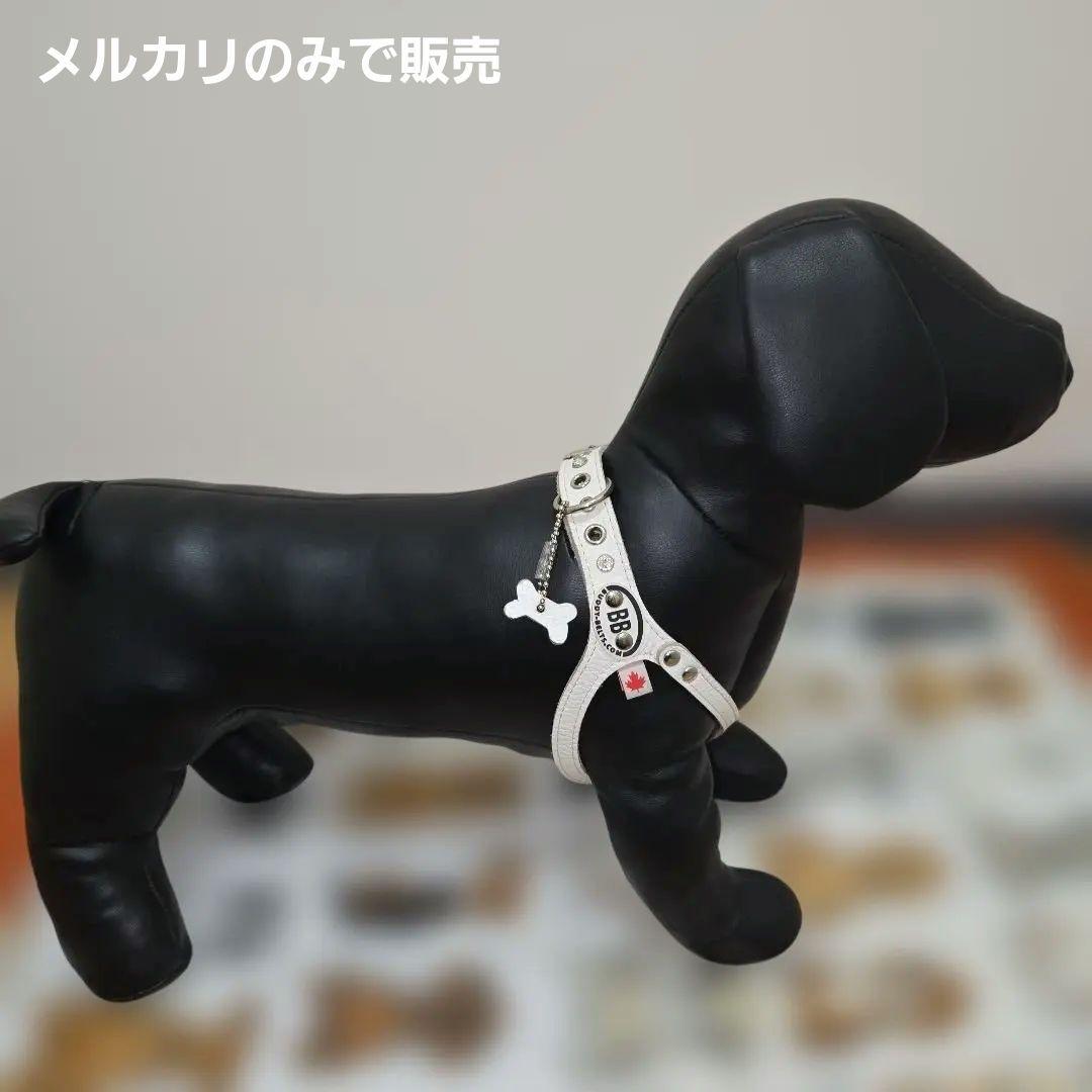 BuddyBelts犬用ハーネス ホワイトキャップ3.5号