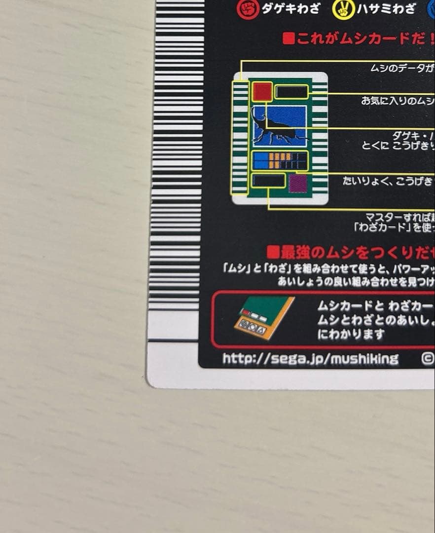 パラワンオオヒラタクワガタ 2003 summer 甲虫王者ムシキング