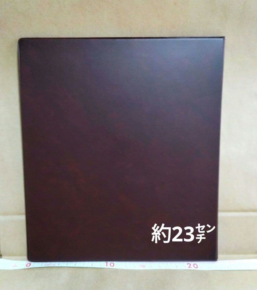 平成5年5月5日 記念メダルと記念カバーの特別セット　純銀メダル　約75㌘