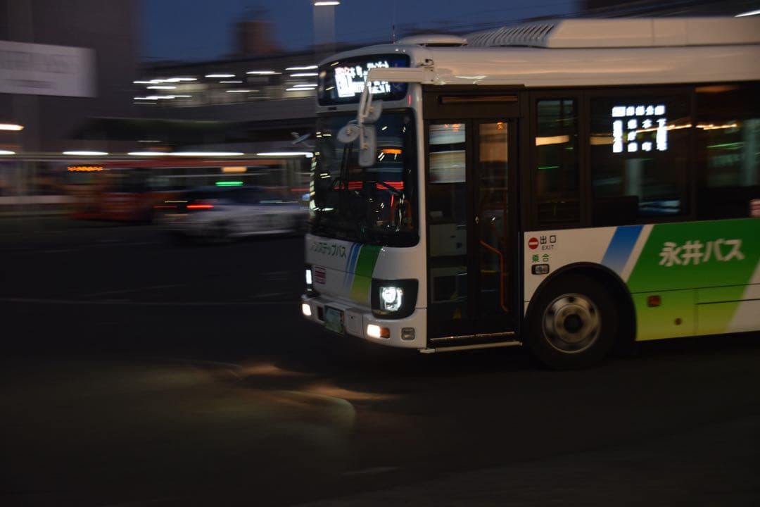 Nikon D3300 ショット数49,898