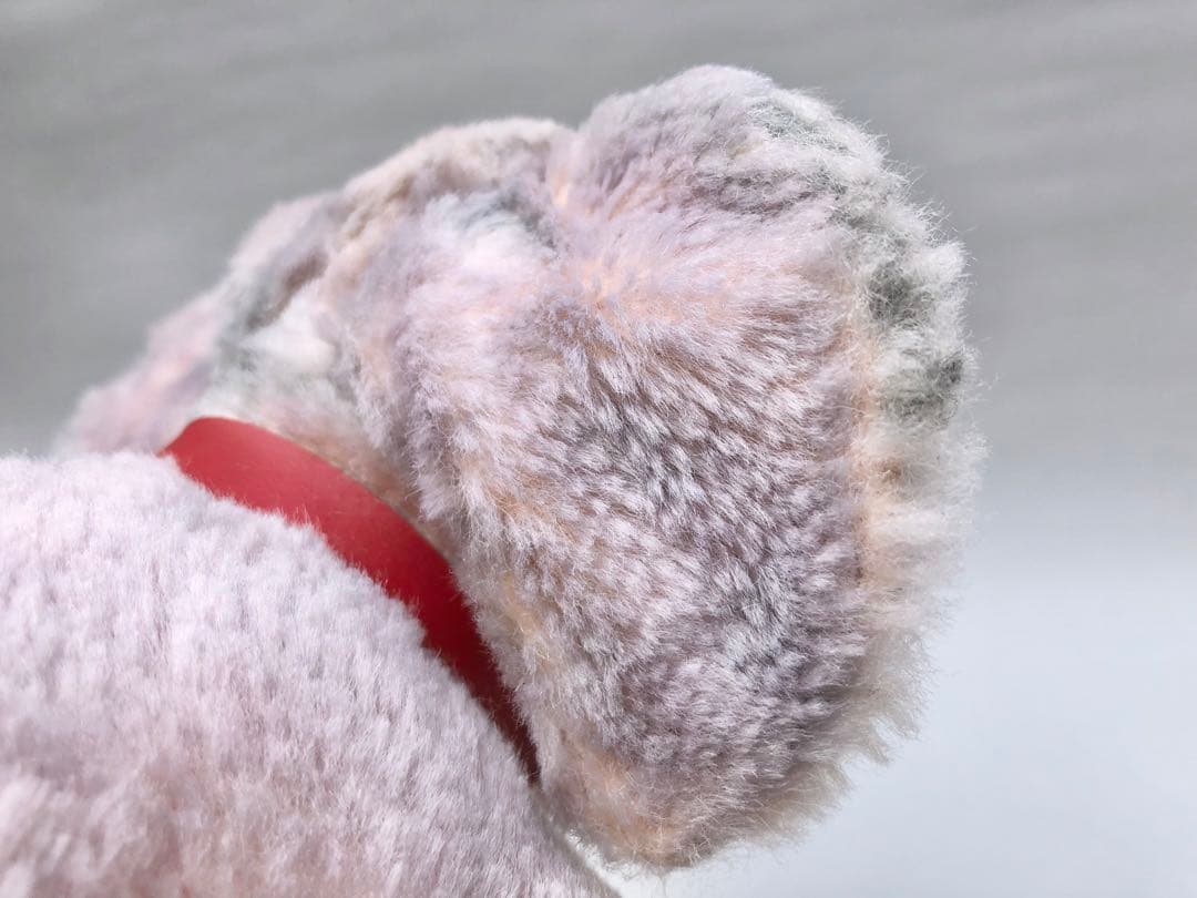 Steiff　象のCosy Trampy　オールID