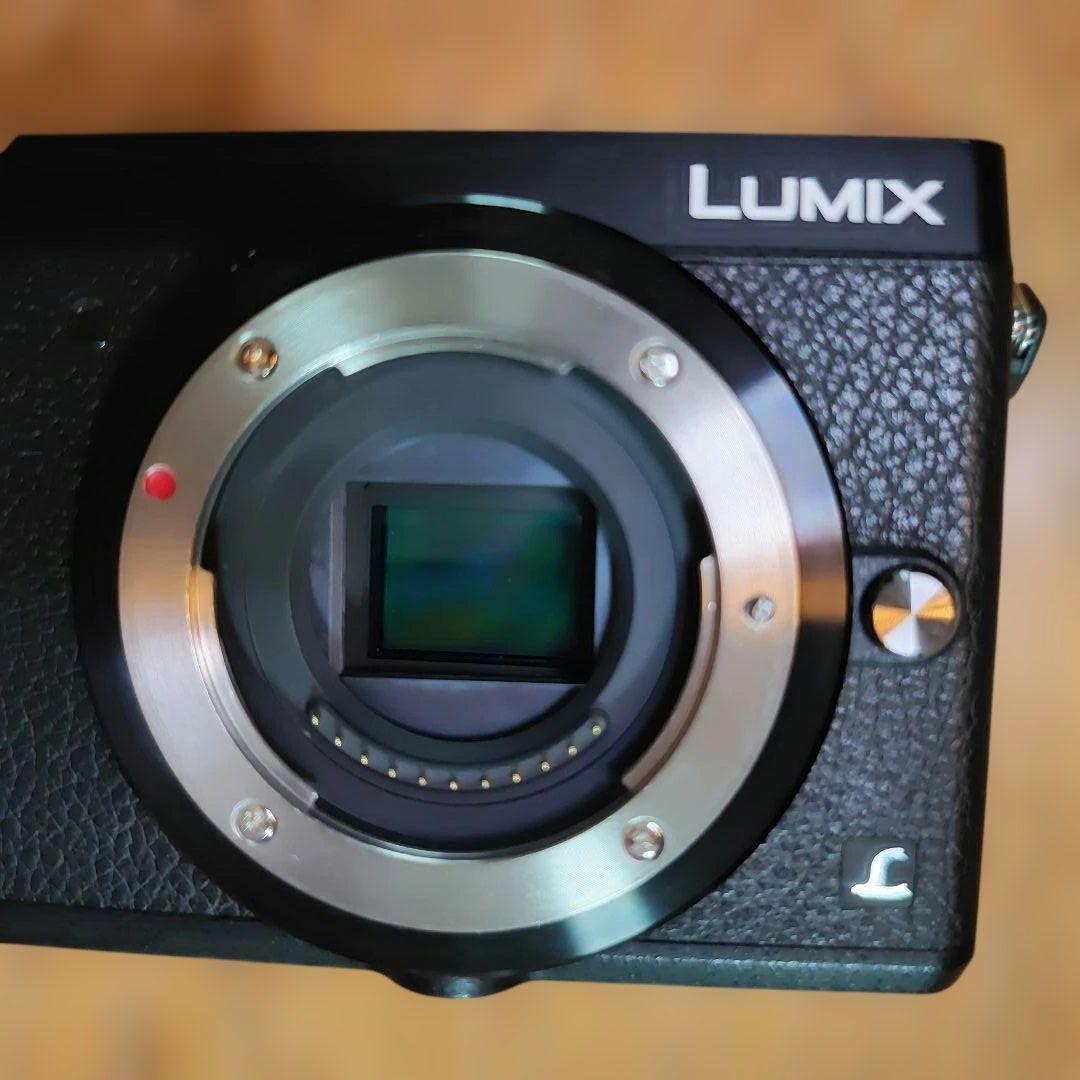 Panasonic LUMIX DMC-GX7MK2 ボディ ブラック 付属品