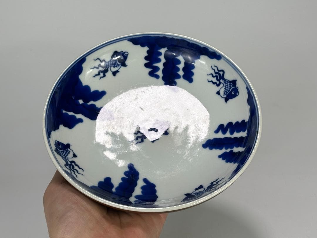 中国美術　清朝　清時代　青花　金魚文　時代物　皿　盤　一対　古物　唐物