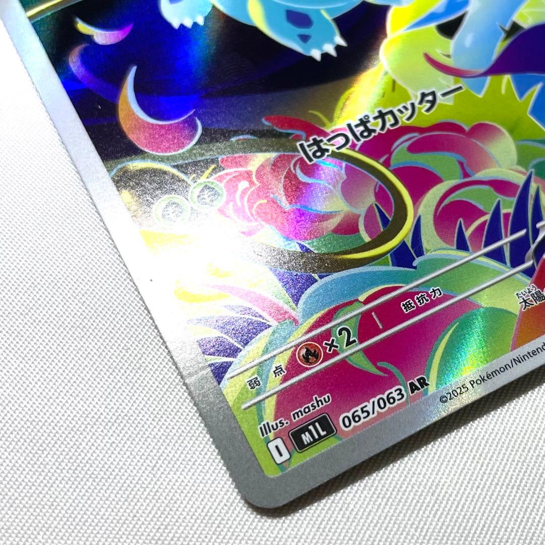 メガフシギバナex 進化ライン フシギダネ フシギソウ SAR SR AR