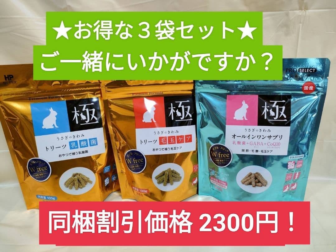 モルモットセレクションプロ600g×10袋