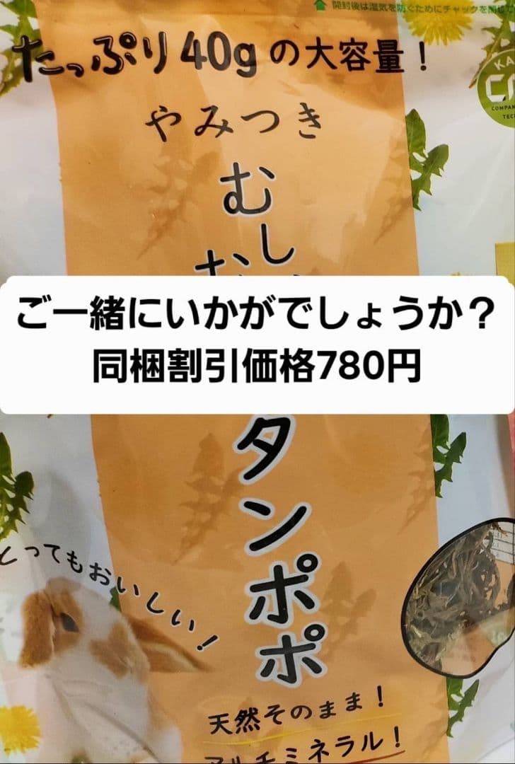モルモットセレクションプロ600g×10袋