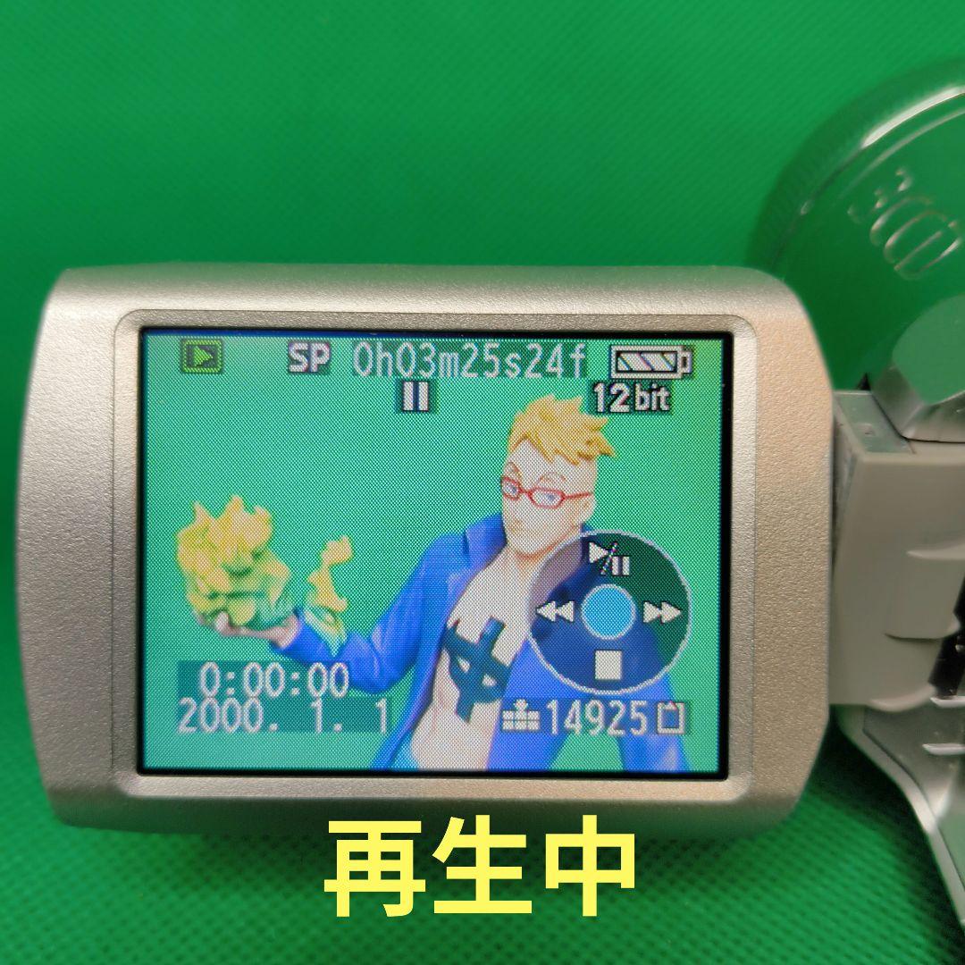 【充電器付】Panasonic パナソニック NV-GS250 Mini DV
