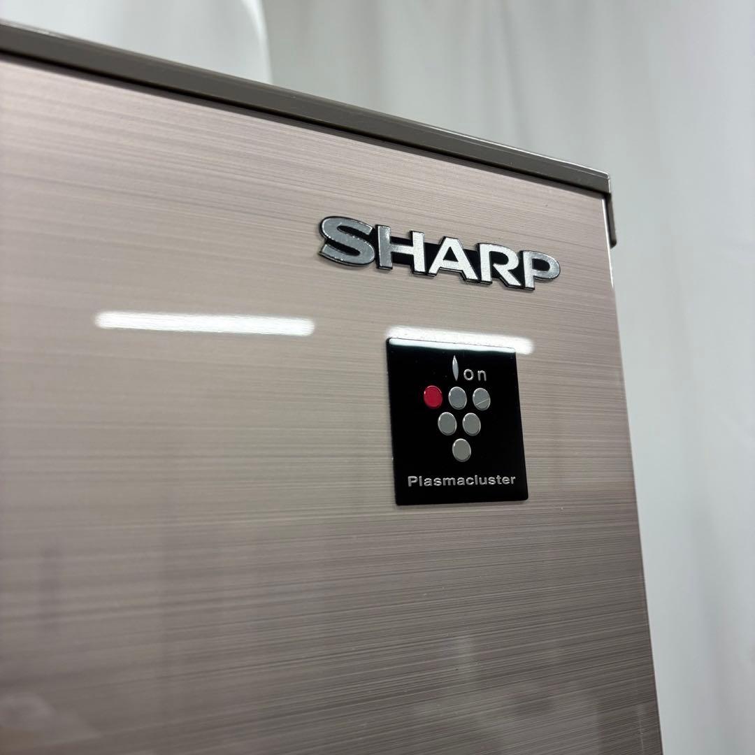 116　シャープ　冷蔵庫　500-600ℓ　大型　綺麗　観音開き　設置無料　安い