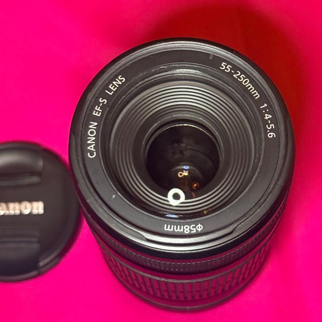 Canon EF-S 55-250mm F4 ズームレンズ