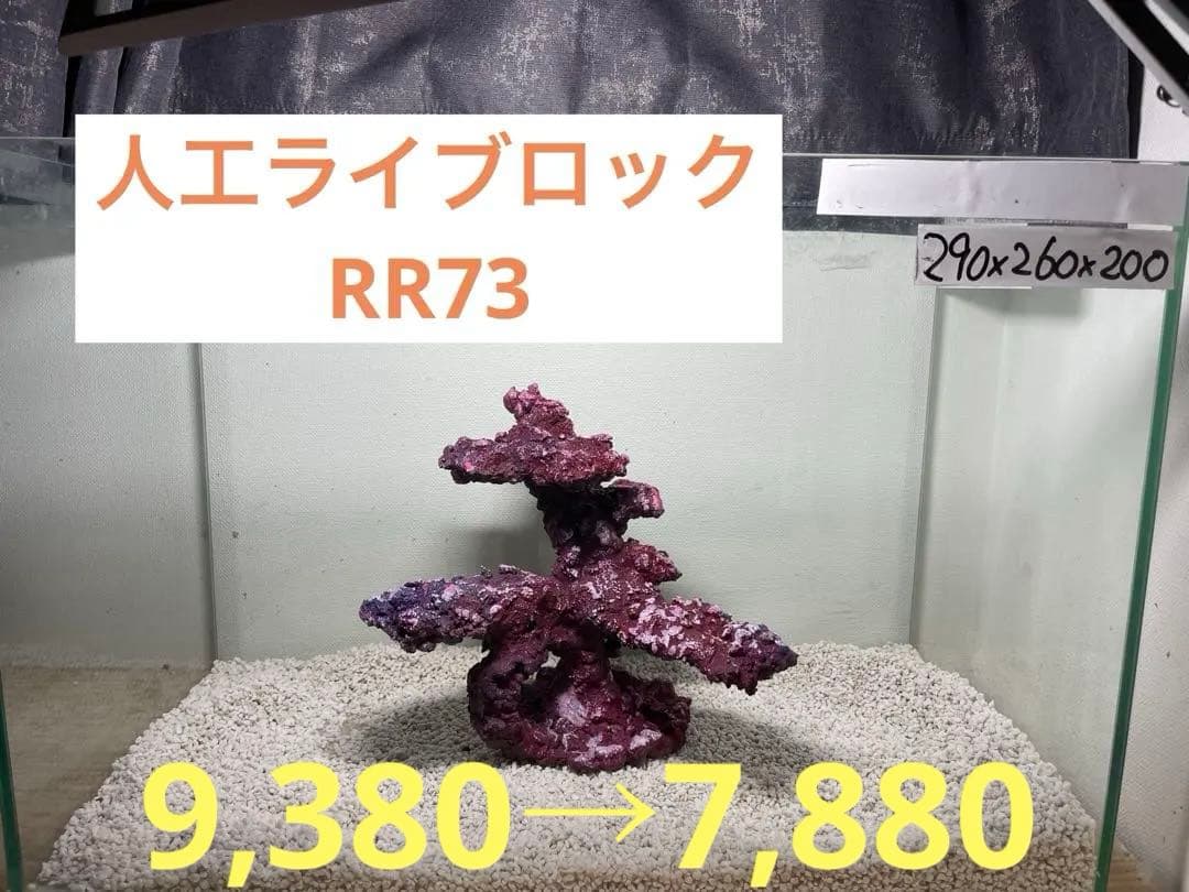 現物在庫SALE！人工ライブロック RR73 アク抜き済み安心塗料使用