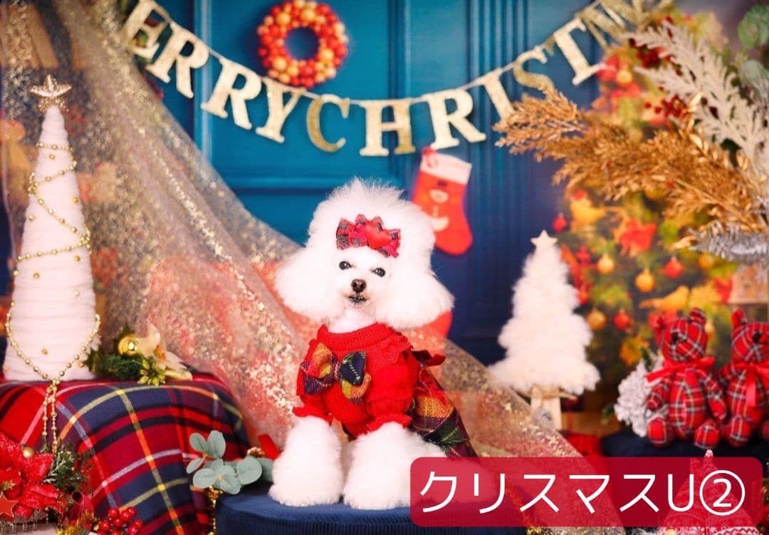 背景布+トリミングチョーカーリボン　50個　どんぐり　松ぼっくり　秋　紅葉