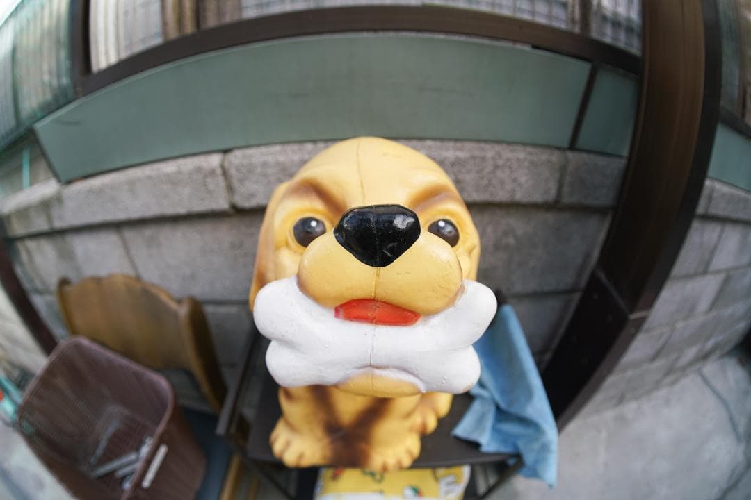 Nikon Ai-S Fisheye NIKKOR 16mm F2.8 魚眼
