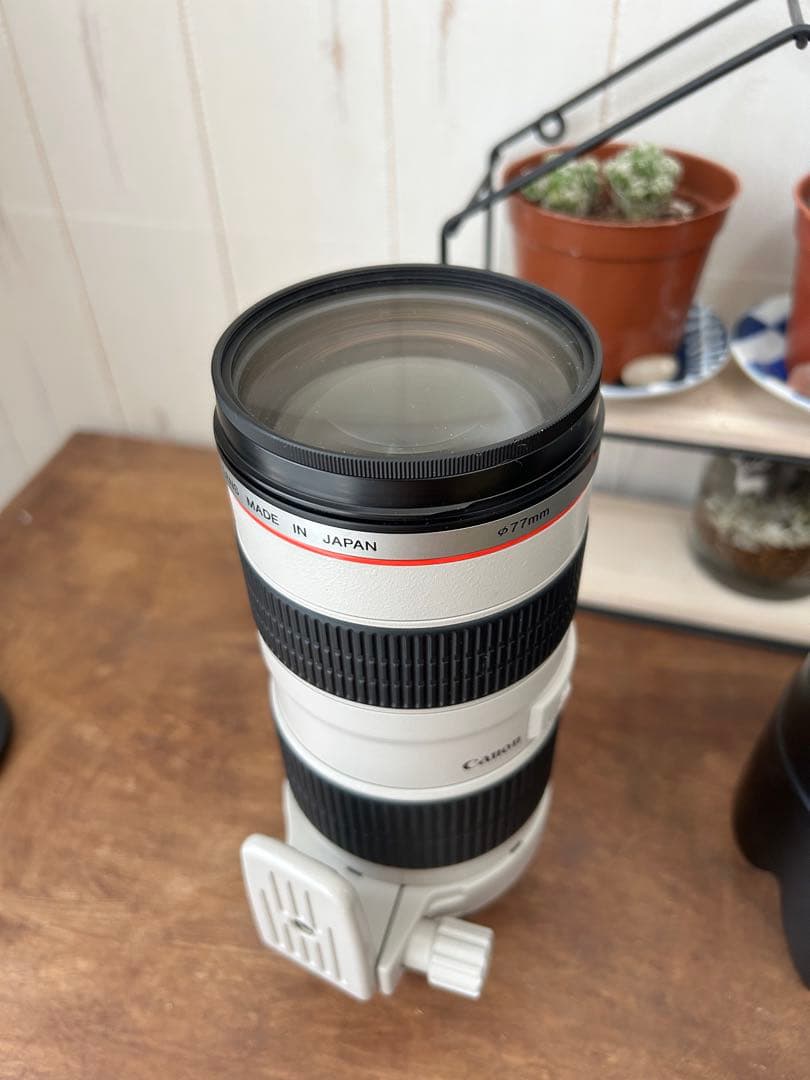 超美品　Canon EF 70-200mm f