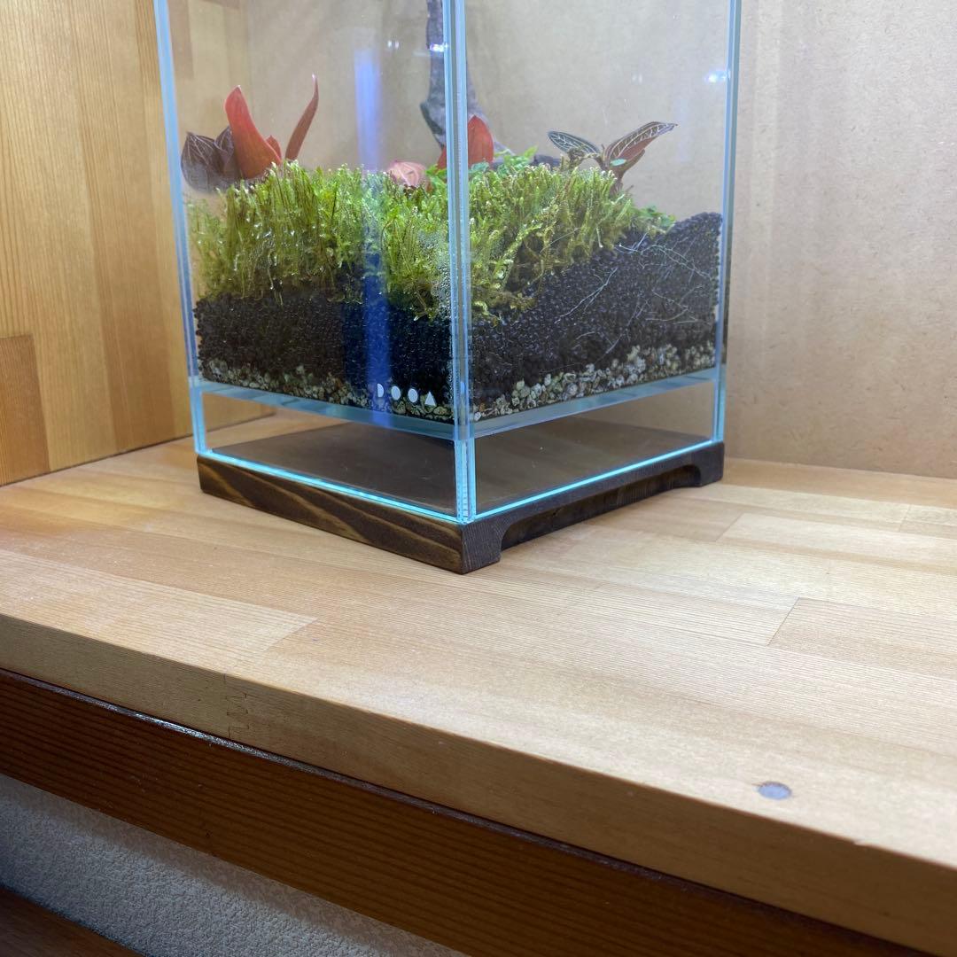 nobu　ネオグラスエア用水槽ベース　300×180mm 2枚組