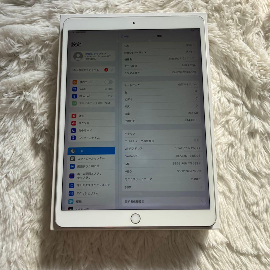 【早い者勝ち】iPad Pro 10.5 256GB 付属品多数！ 【すぐ発送】