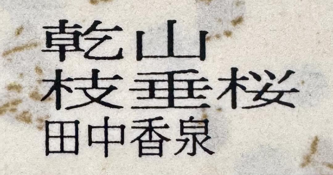 未使用 田中香泉作 乾山 枝垂桜 茶碗 在銘 共箱 入手困難 WWTT422