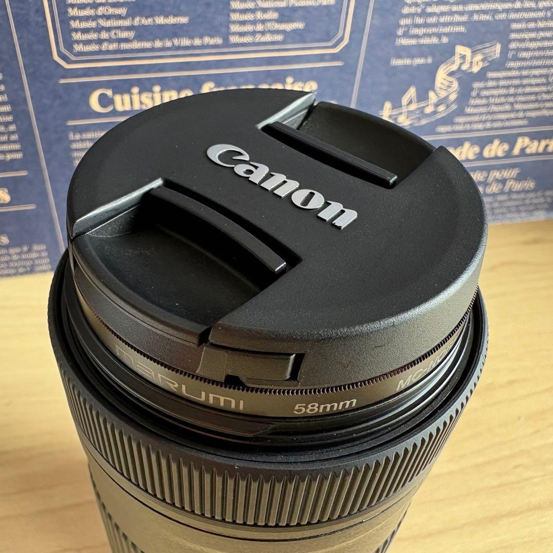 ❣️極美品❣️Canon EF-S 55-250mm STM望遠レンズ キャノン