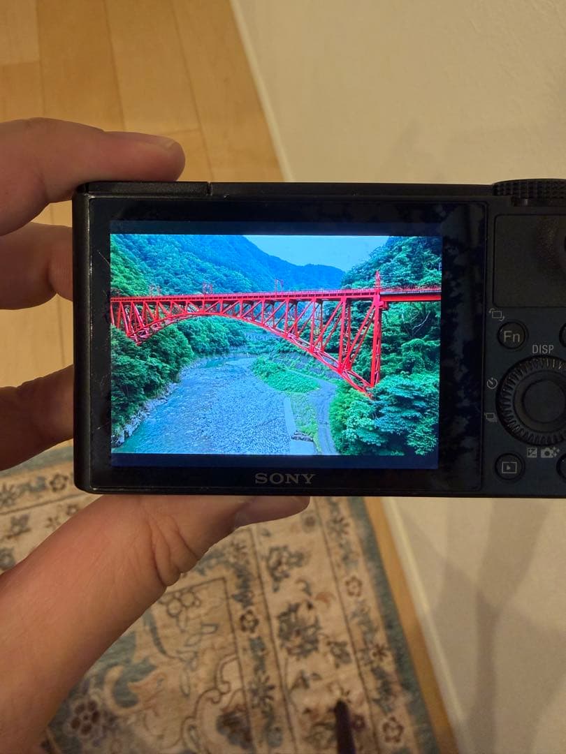 DSC-RX100 通電確認済み