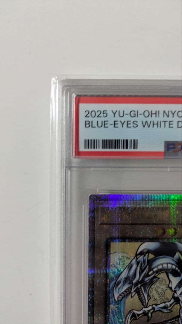 PSA10 青眼の白龍　25th 浮世絵