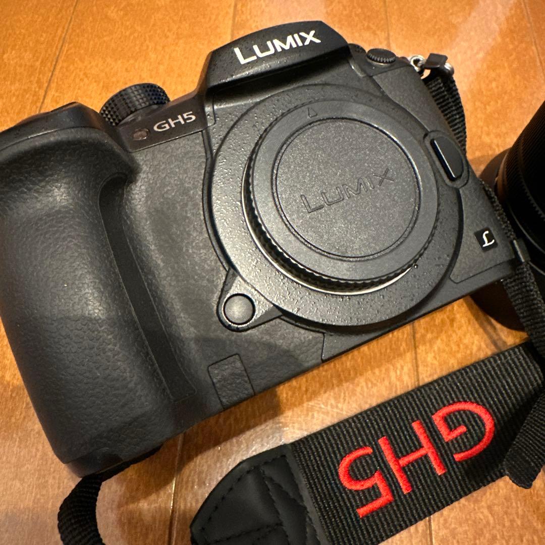 Panasonic GH-5M, H-FS12060 セット