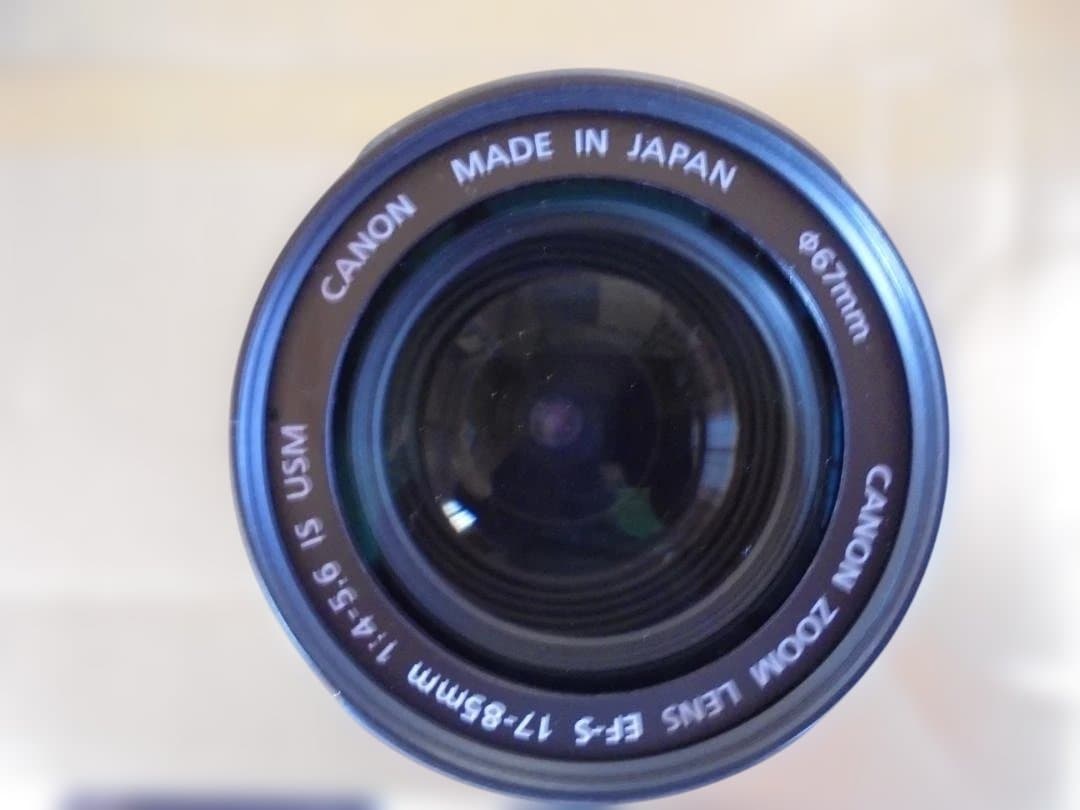 Canon EOS 40D EF-S17ー85ｍｍズームレンズセット　おまけ付き