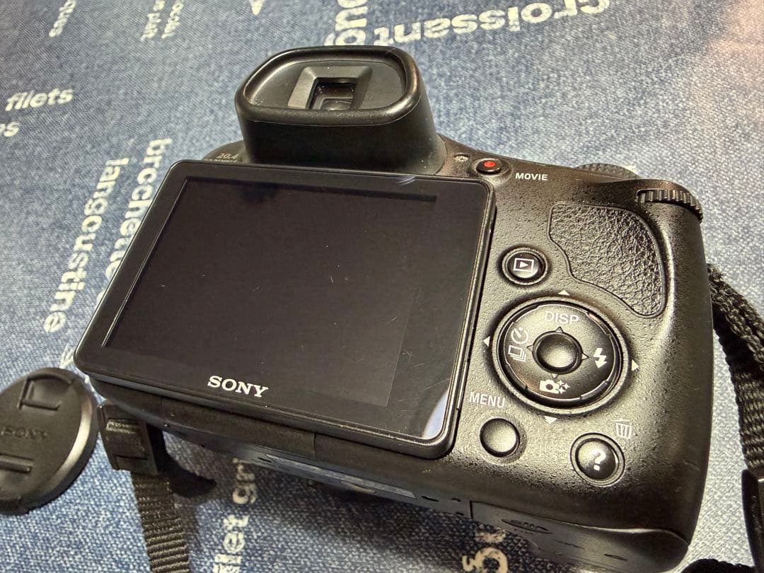 SONY Cyber-Shot DSC-HX300 動作品【本体のみ】