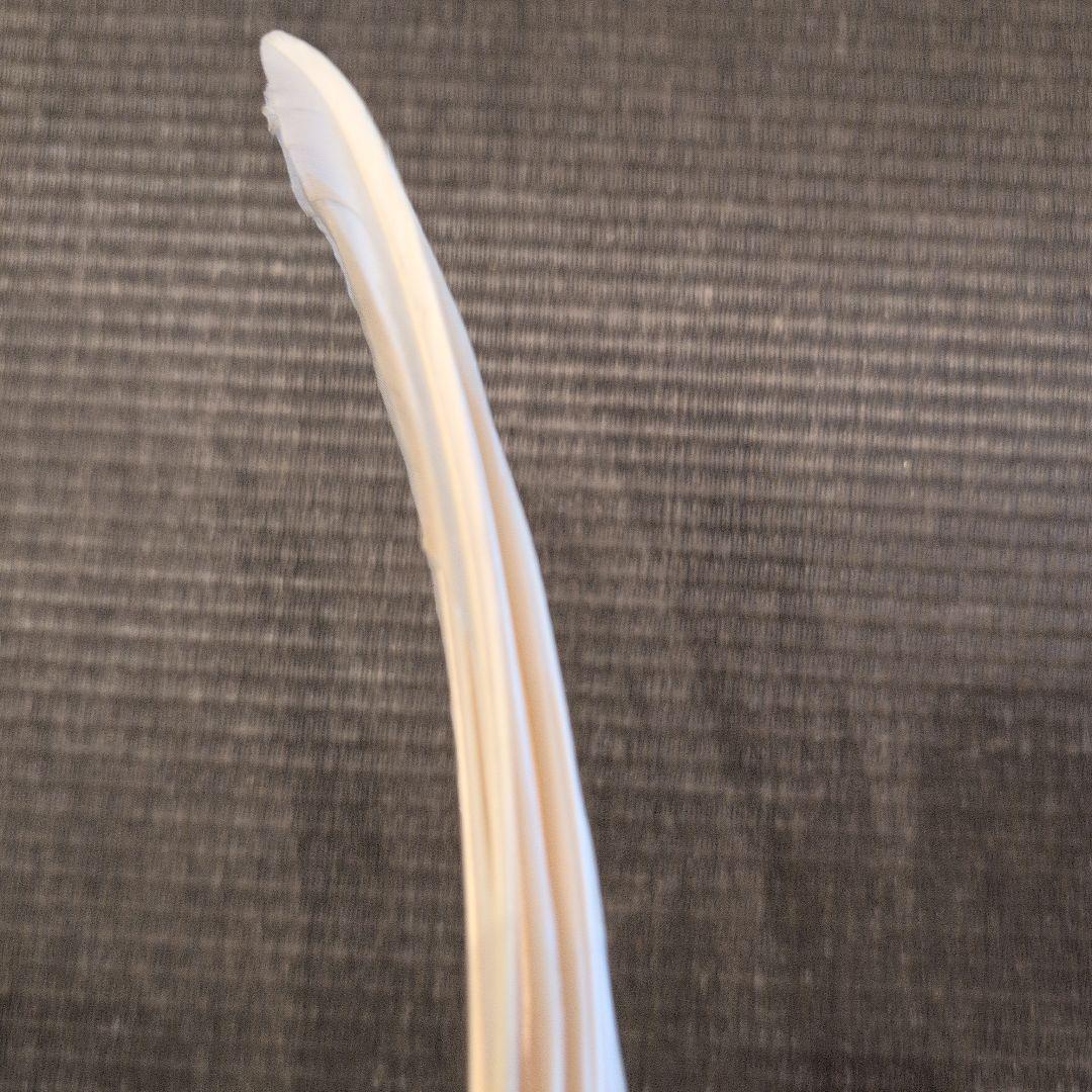 茶道具　羽箒