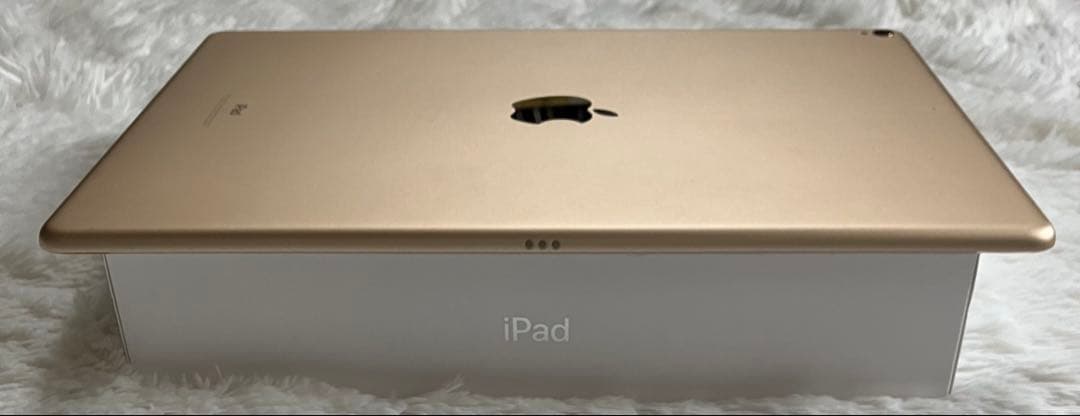 【早い者勝ち】iPad Pro 12.9 256GB 【すぐ発送】【付属品】