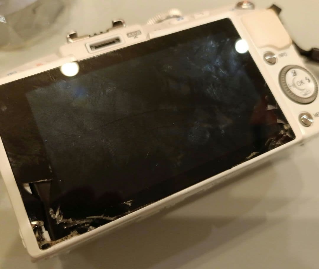OLYMPUS PEN Lite E-P6 本体と付属品