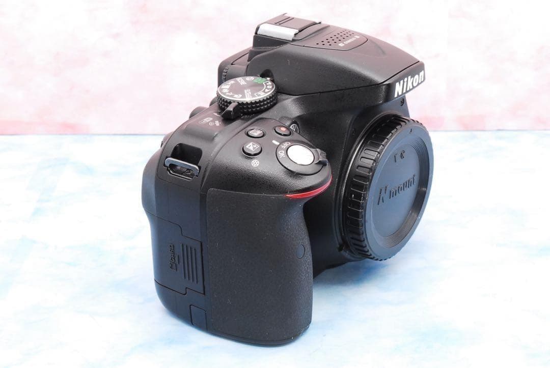 ☆Nikon D5300☆手ぶれ補正Wレンズ☆Wi-Fi搭載☆一眼レフカメラ