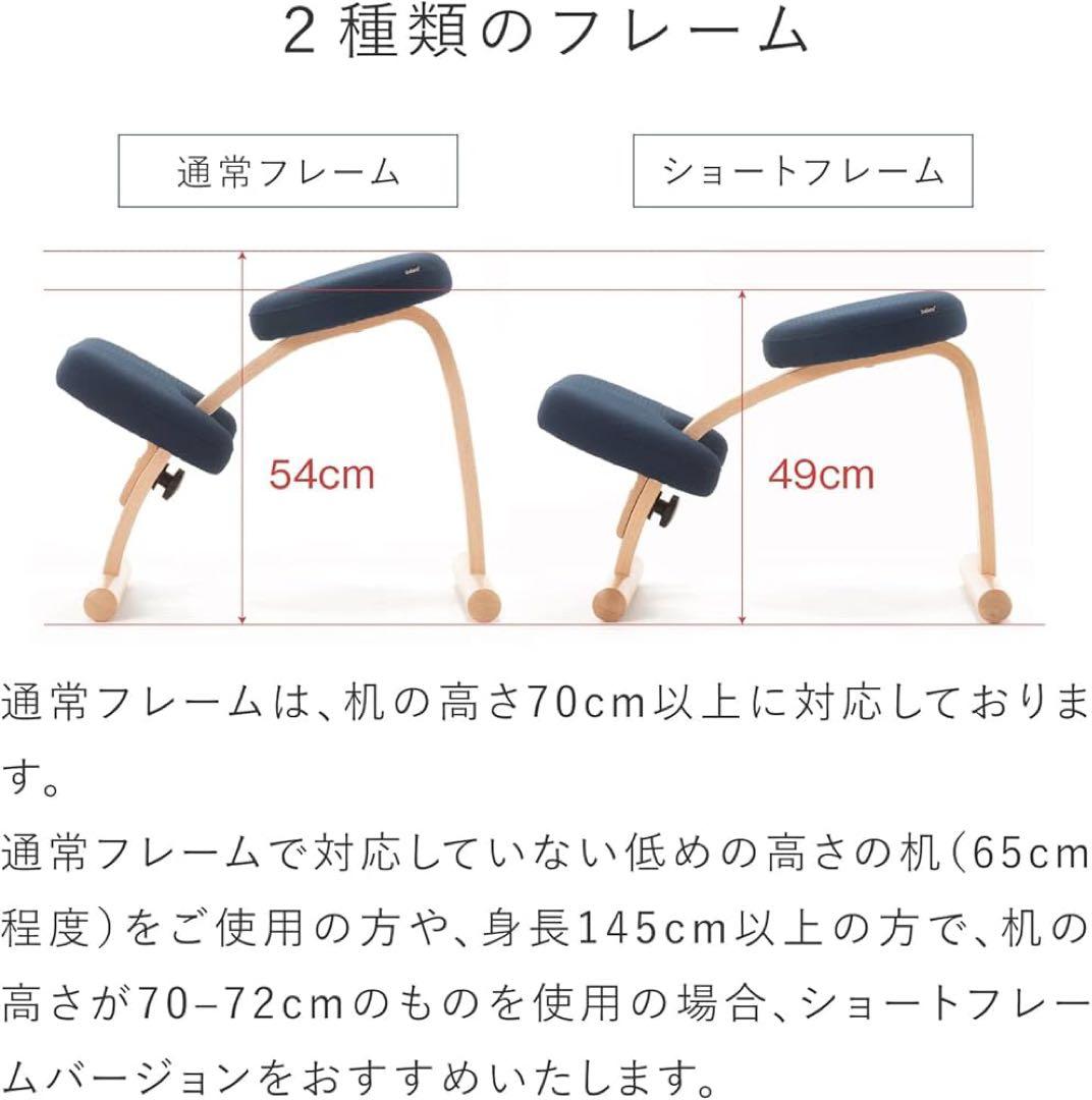 【新品未使用】balans easy 姿勢矯正チェア ショット　144BN003