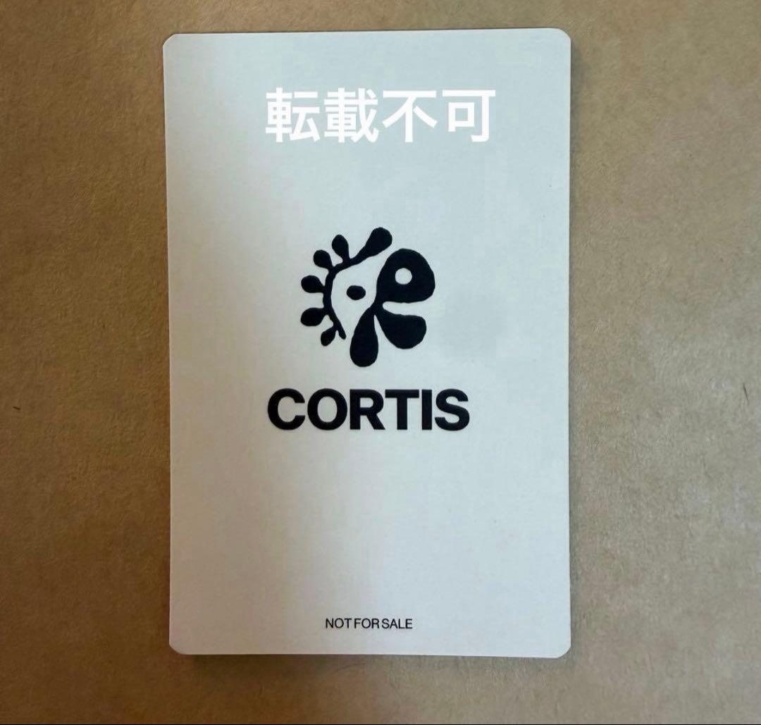 CORTIS ソンヒョン tsutaya ツタヤ 特典 トレカ②