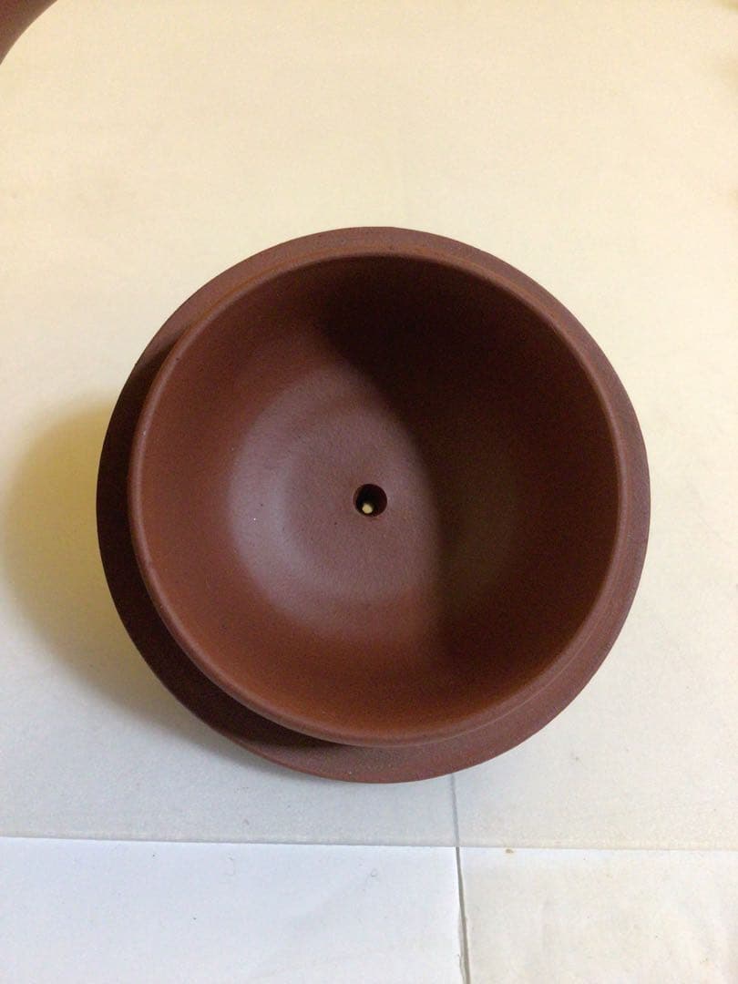 朱泥 急須 箱無し