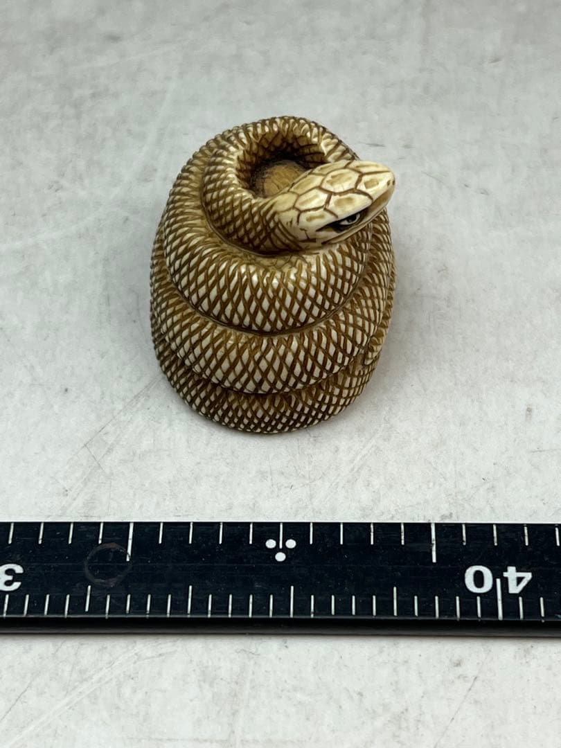 ［珍品］和之在銘　極上蛇根付　20 g 送料込み 龍ちゃん専用