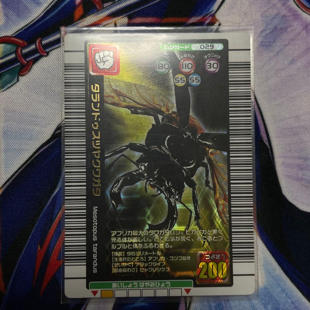 ムシキング 2005年夏限定 美品3枚セット