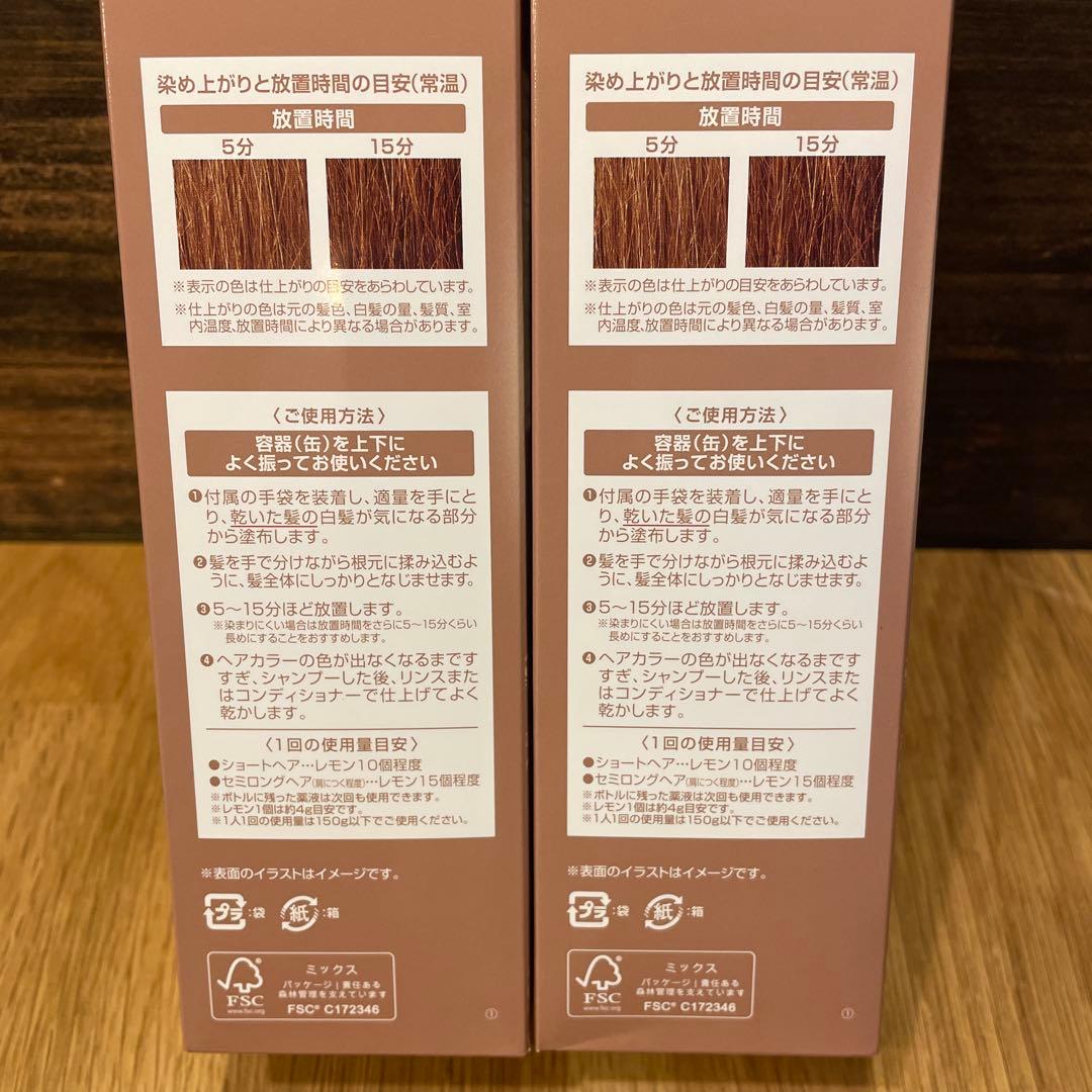 ヘアボーテエクラ ボタニカル エアカラーフォーム EXライトブラウン150g２本