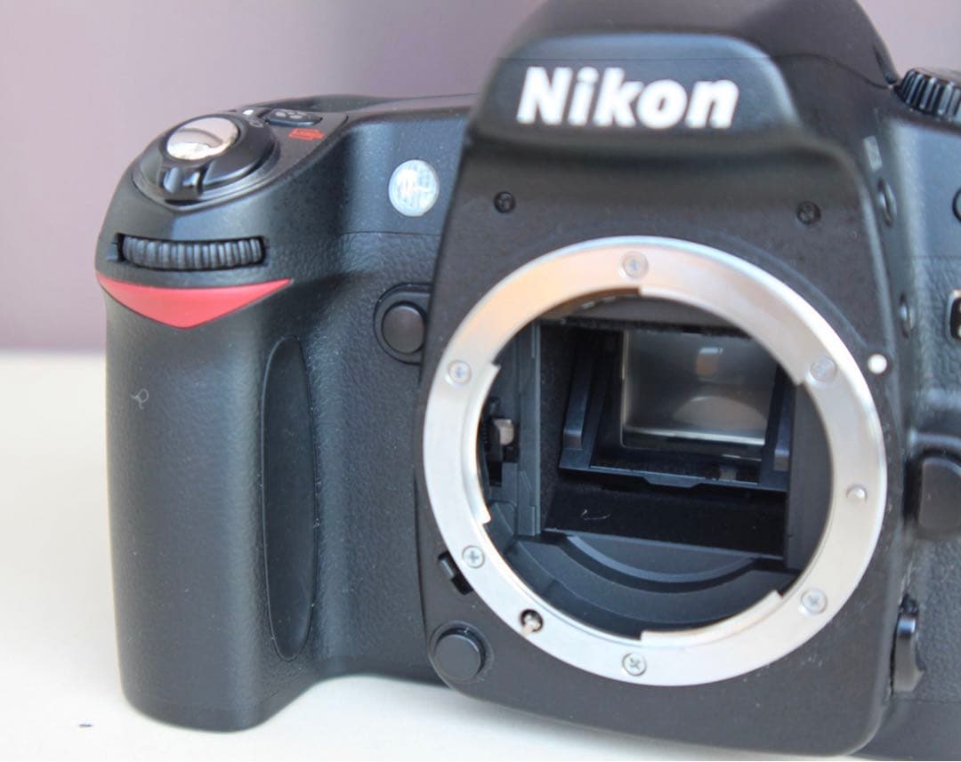 Nikon D80 動作品