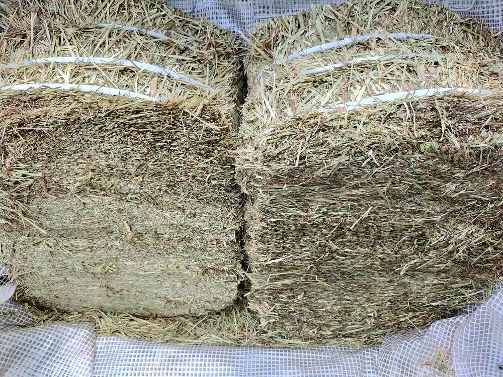 US産 チモシー 40kg ２番刈 ソフトスーパープレミアム